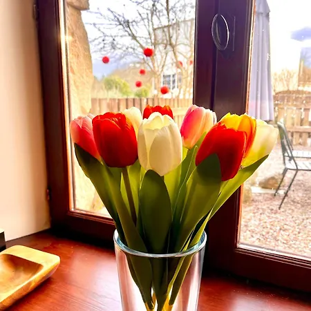 Le Plantier2 Beaulieu-sur-Sonnette