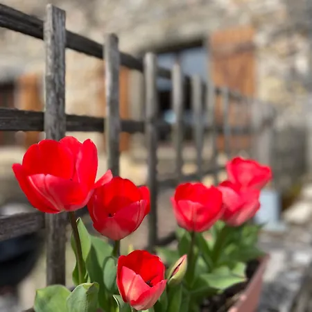 Le Plantier2 Beaulieu-sur-Sonnette