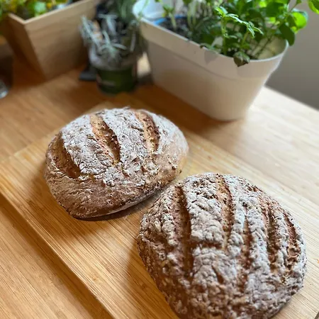 Le Plantier2 * Beaulieu-sur-Sonnette